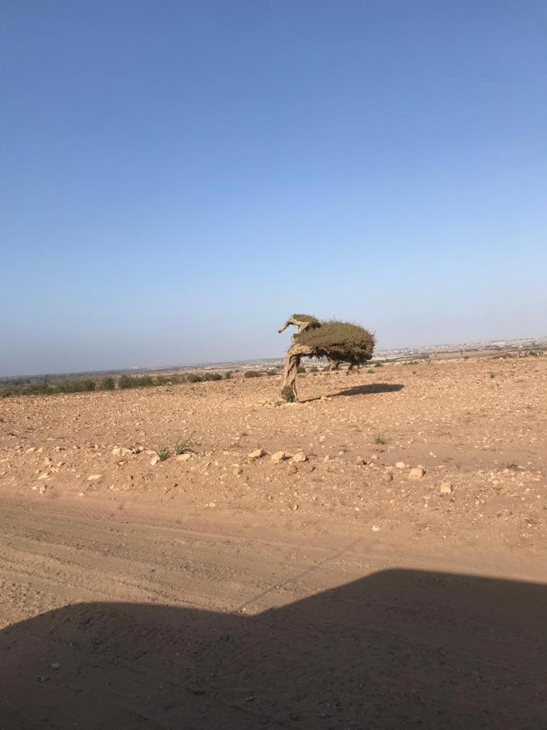 Riad Targante Takate 1 Sidi Bibi 외부 사진